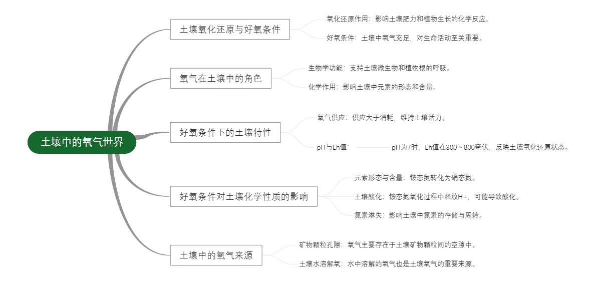 土壤中的氧气世界
