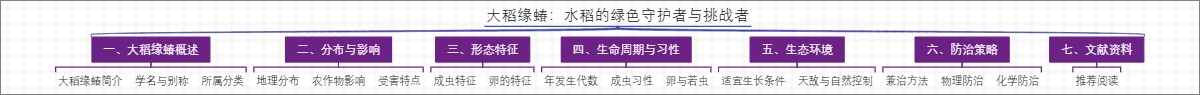 大稻缘蝽：水稻的绿色守护者与挑战者