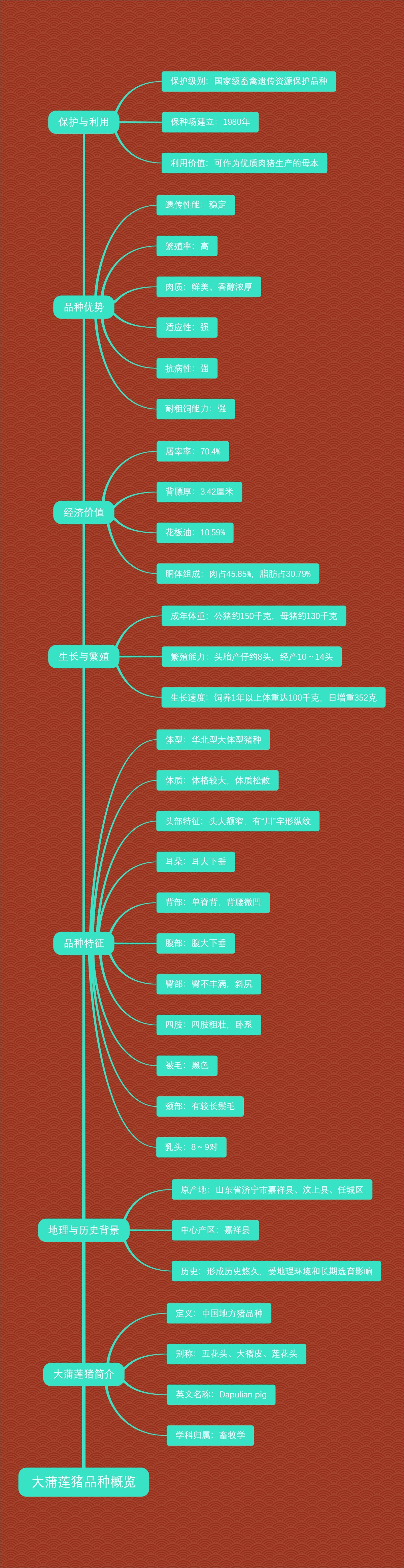 大蒲莲猪品种概览