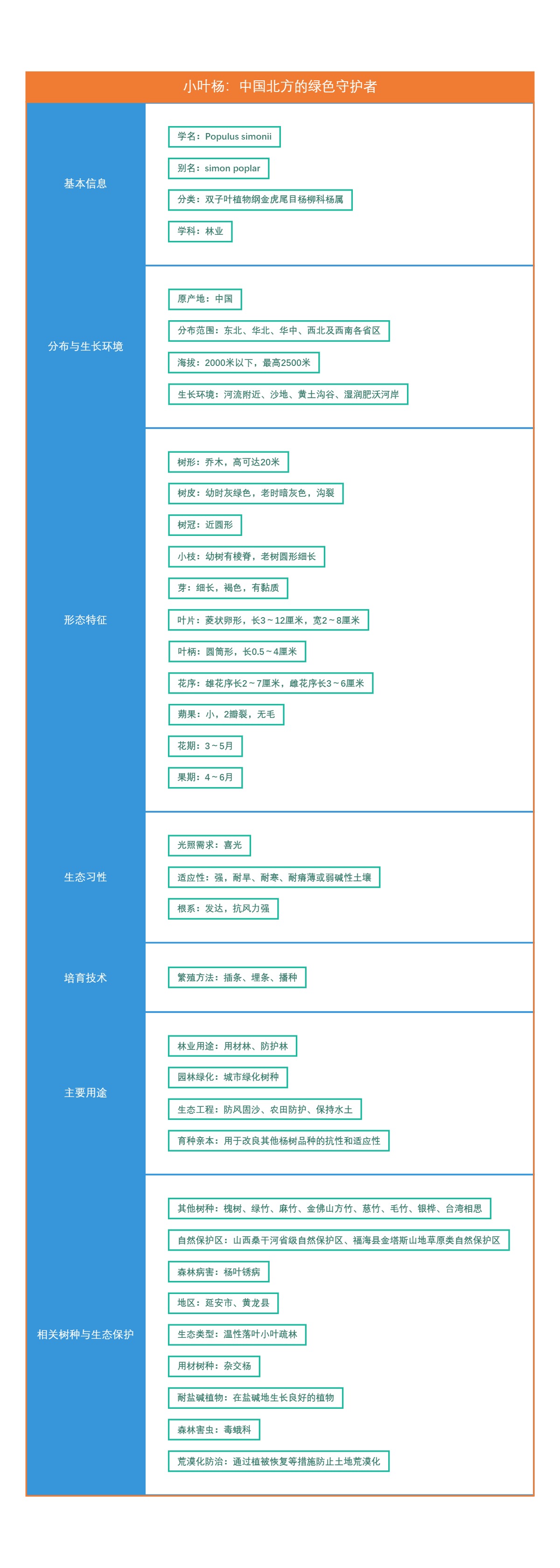 小叶杨：中国北方的绿色守护者