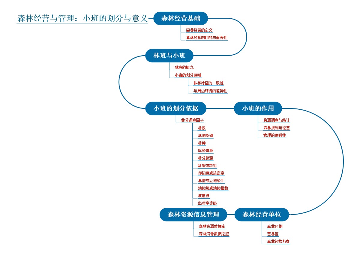 森林经营与管理：小班的划分与意义
