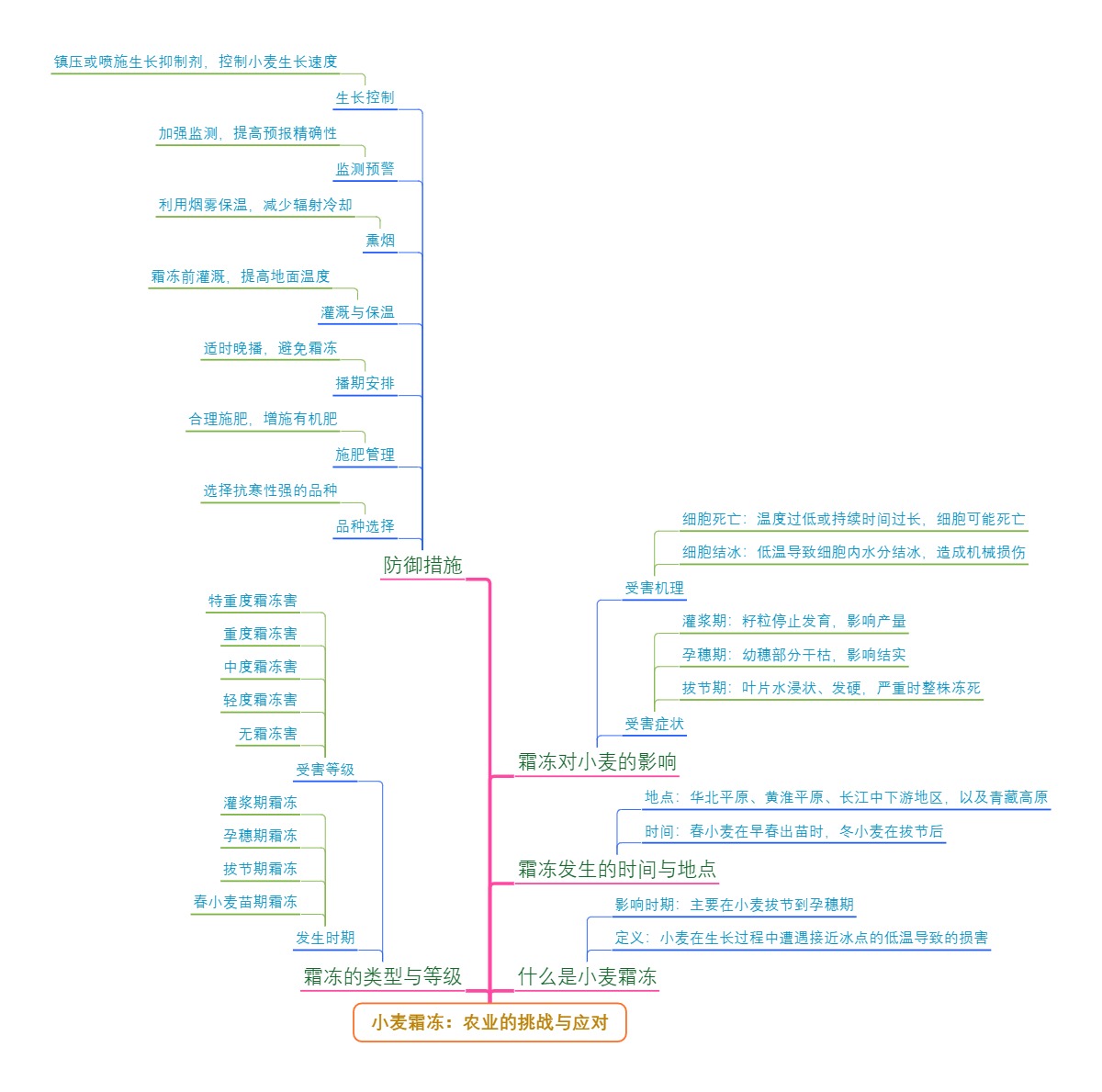 小麦霜冻：农业的挑战与应对