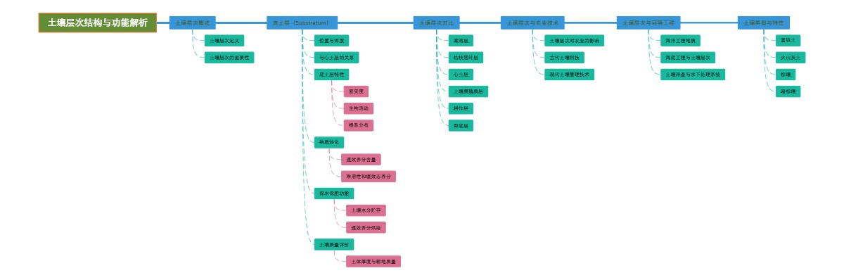 土壤层次结构与功能解析
