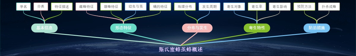 斯氏蜜蜂茧蜂概述