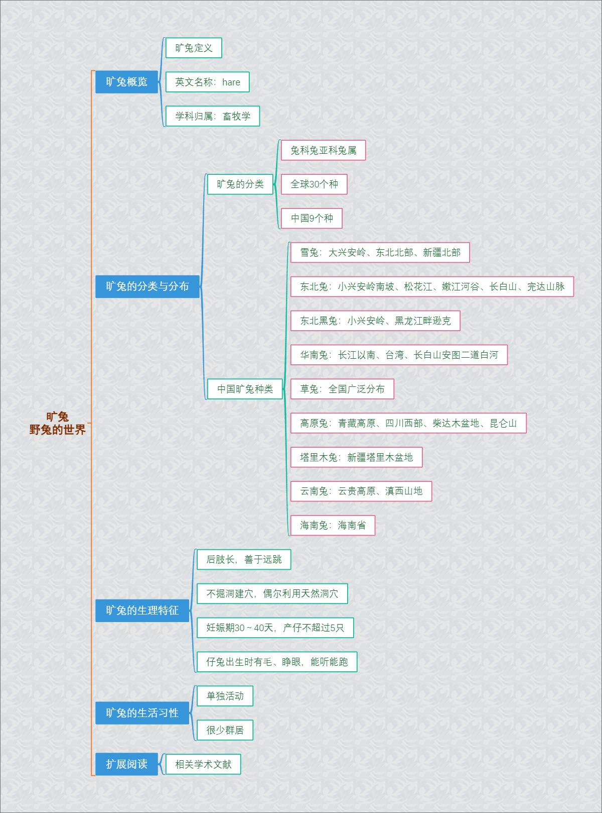 旷兔：野兔的世界