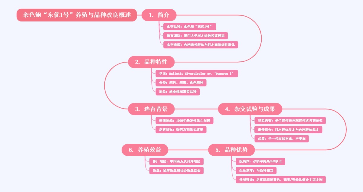 杂色鲍“东优1号”养殖与品种改良概述