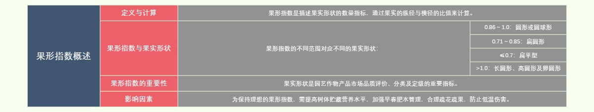 果形指数概述