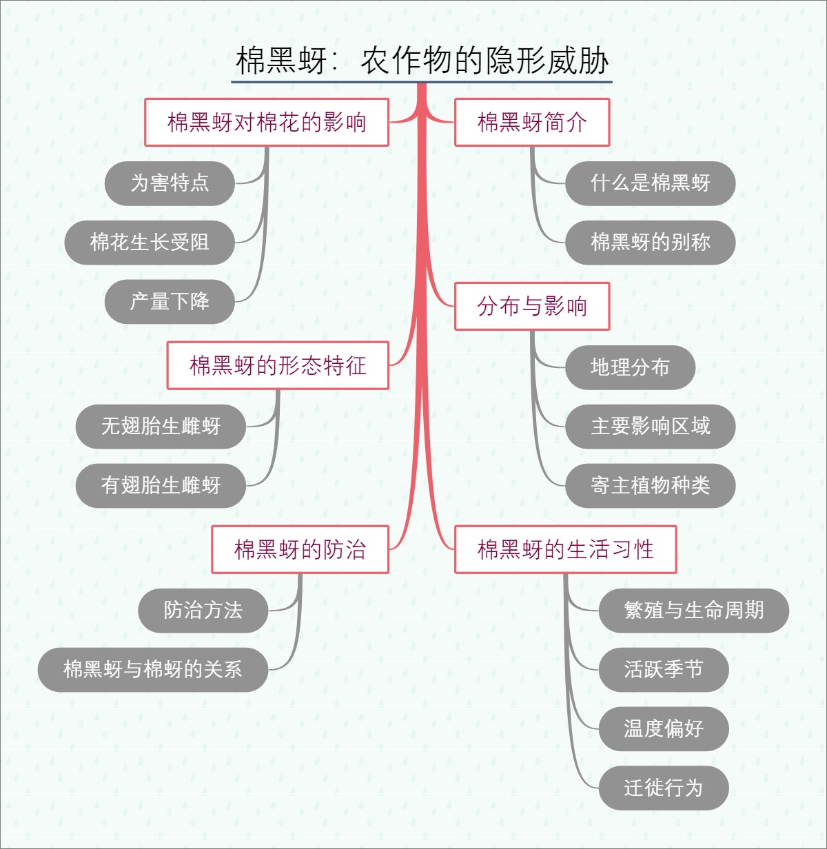 棉黑蚜：农作物的隐形威胁