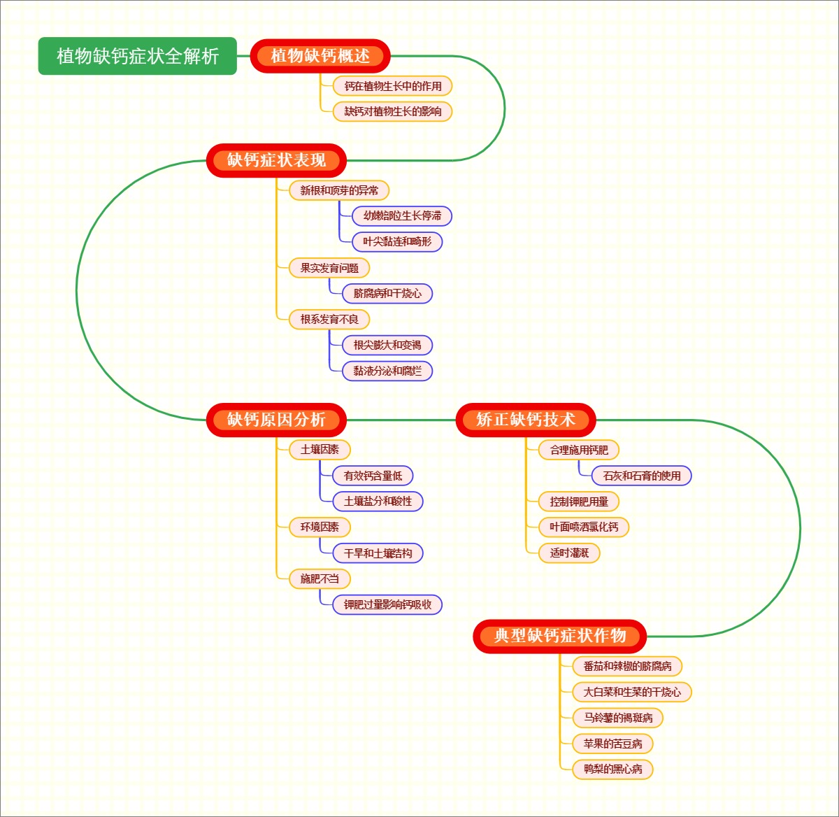 植物缺钙症状全解析