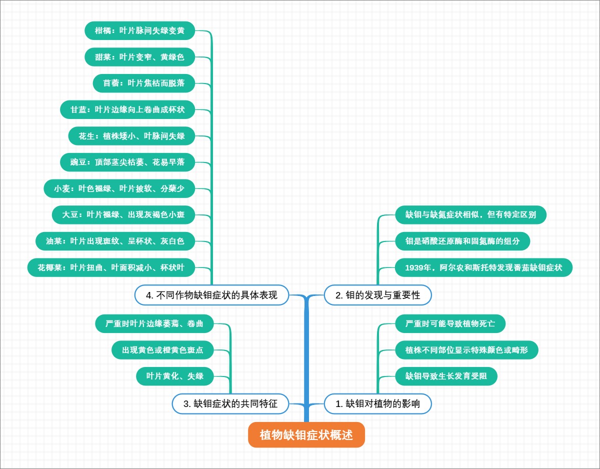 植物缺钼症状概述