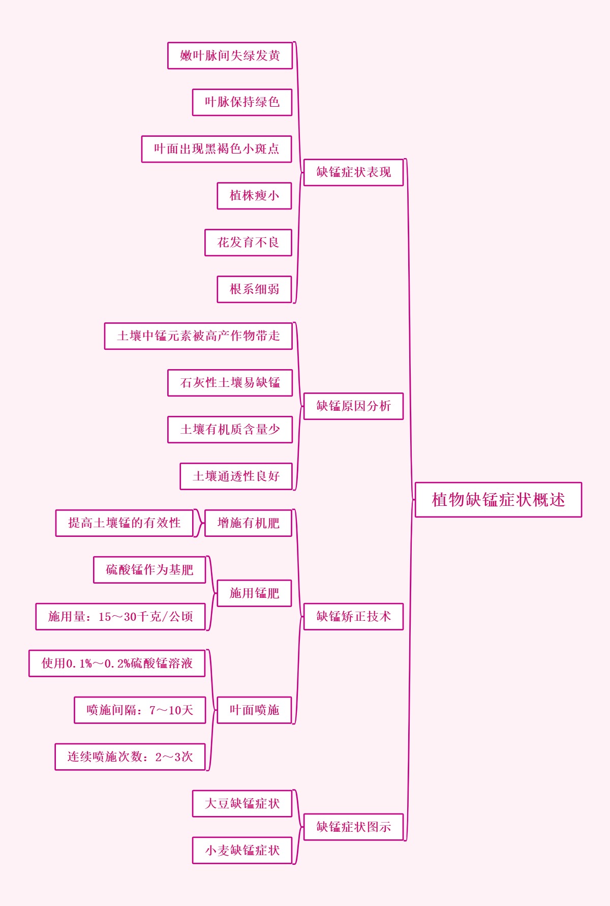 植物缺锰症状概述