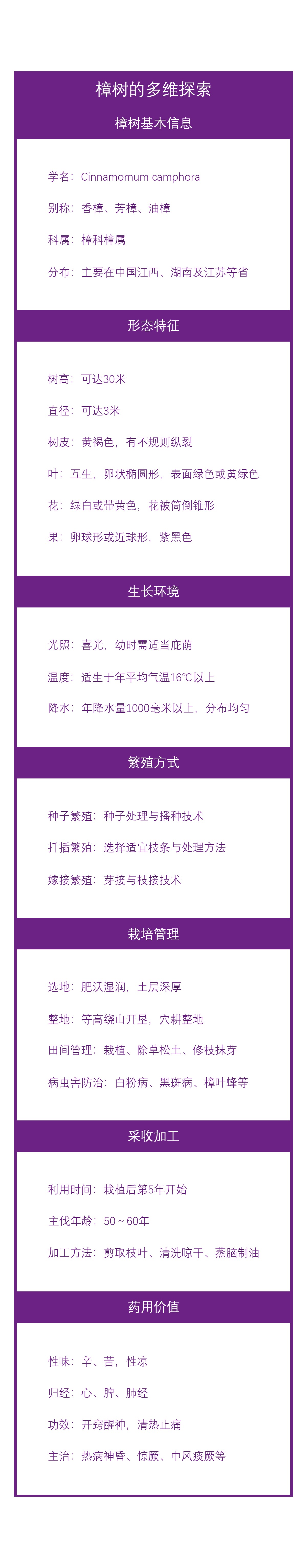 樟树的多维探索