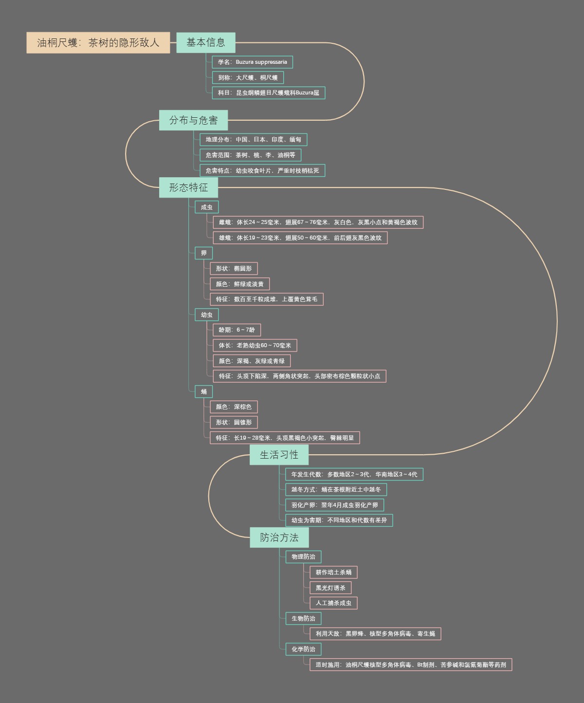 油桐尺蠖：茶树的隐形敌人