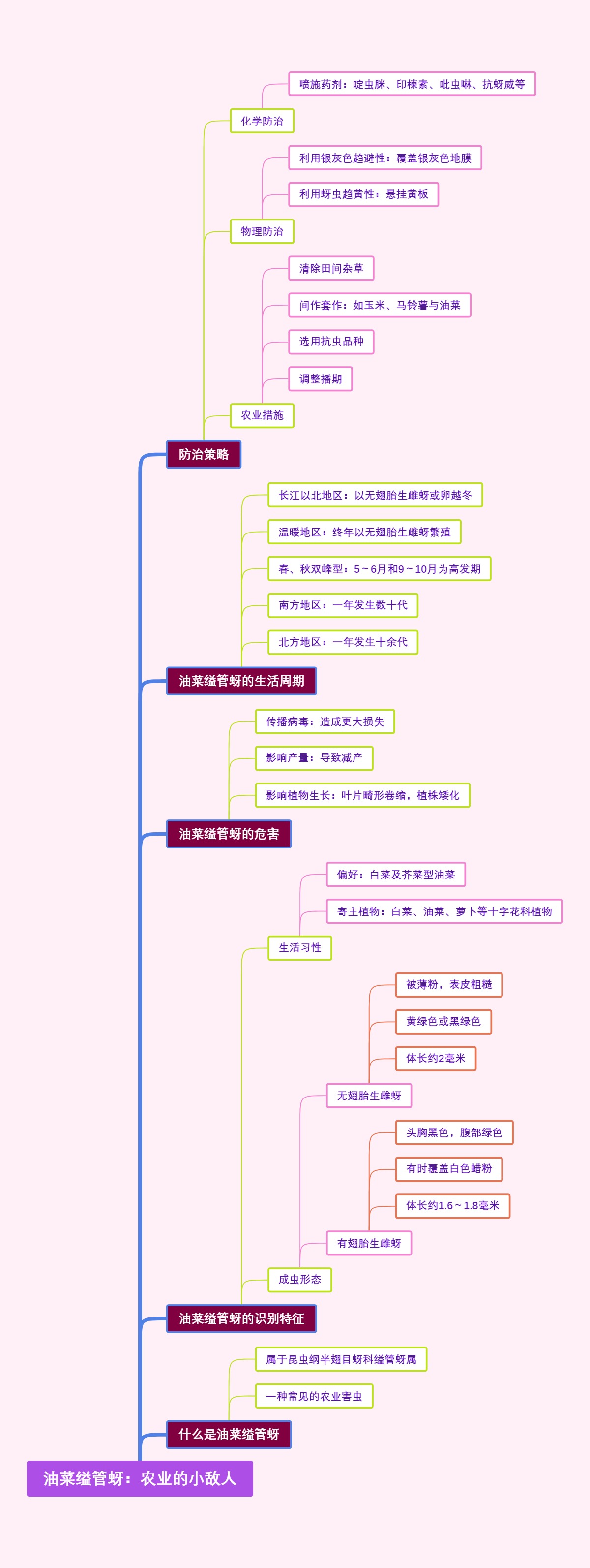 油菜缢管蚜：农业的小敌人