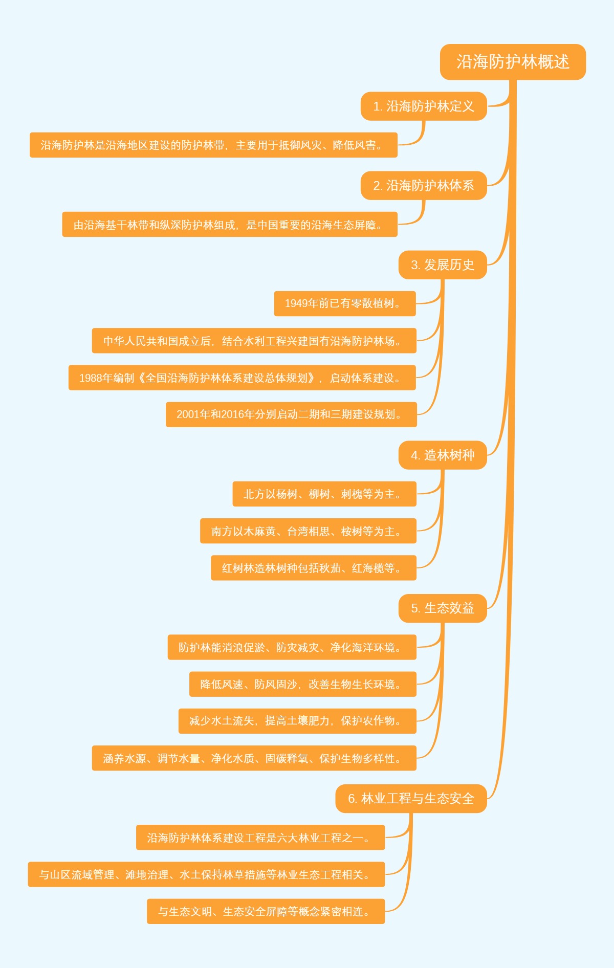 沿海防护林概述