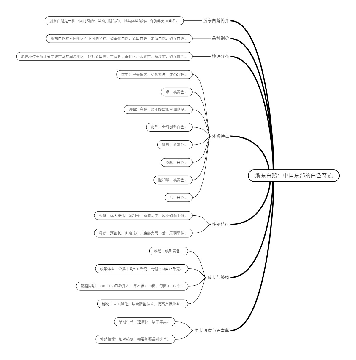 浙东白鹅：中国东部的白色奇迹