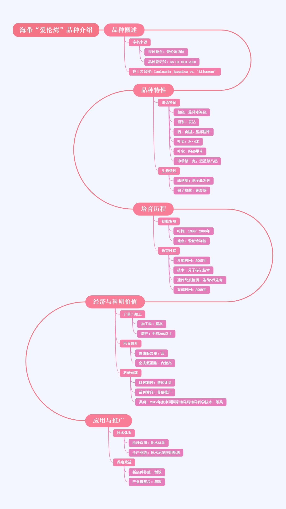 海带“爱伦湾”品种介绍