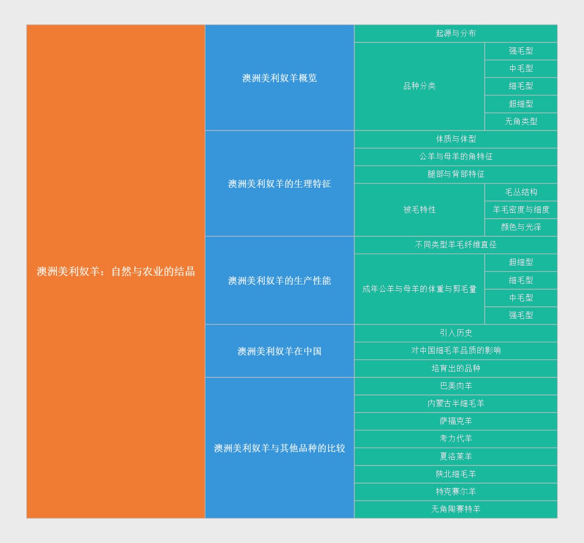 澳洲美利奴羊：自然与农业的结晶