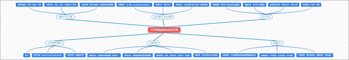 玉米粗缩病综合知识导图