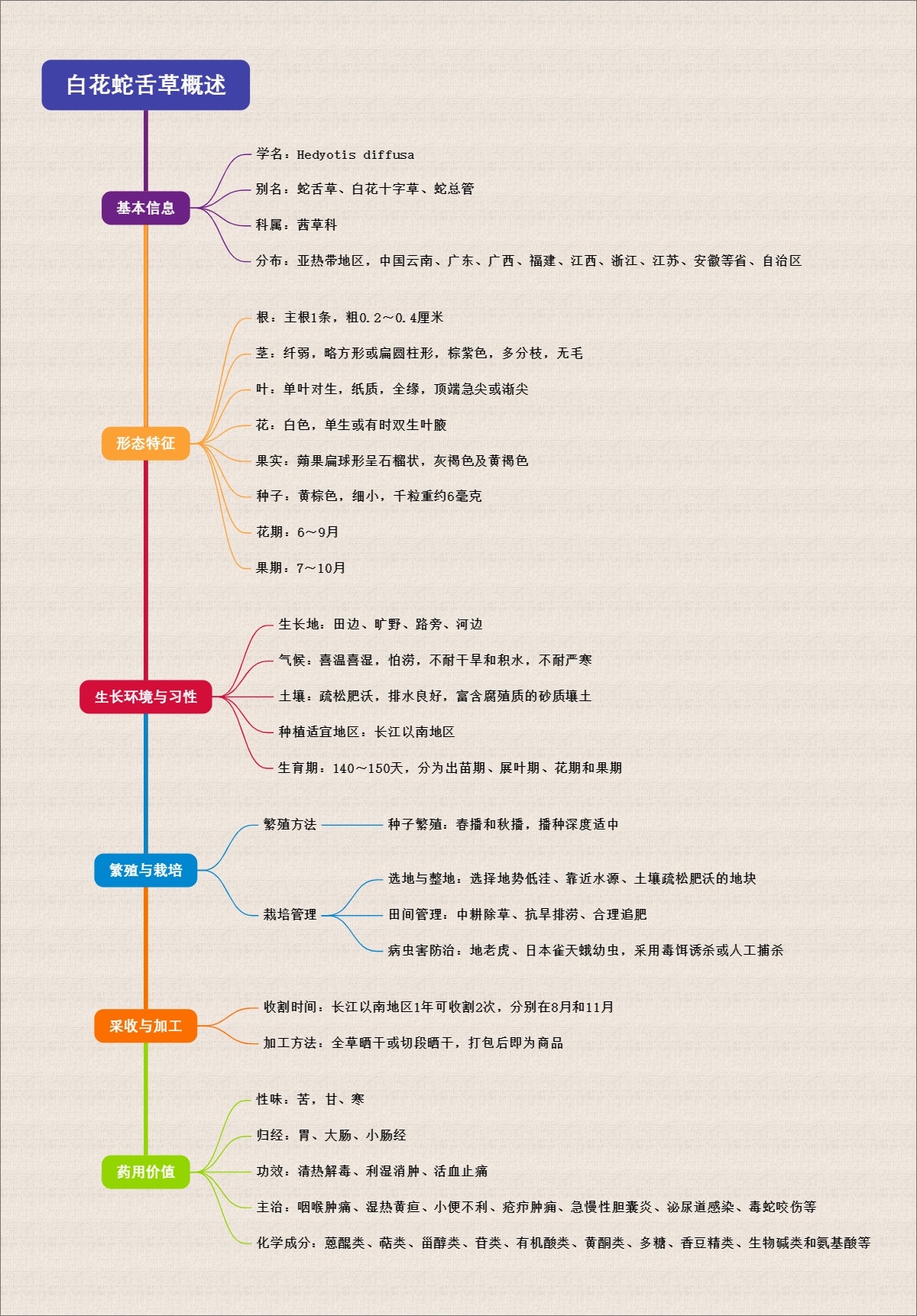 白花蛇舌草概述
