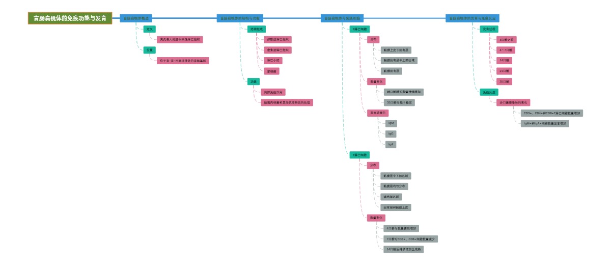 盲肠扁桃体的免疫功能与发育