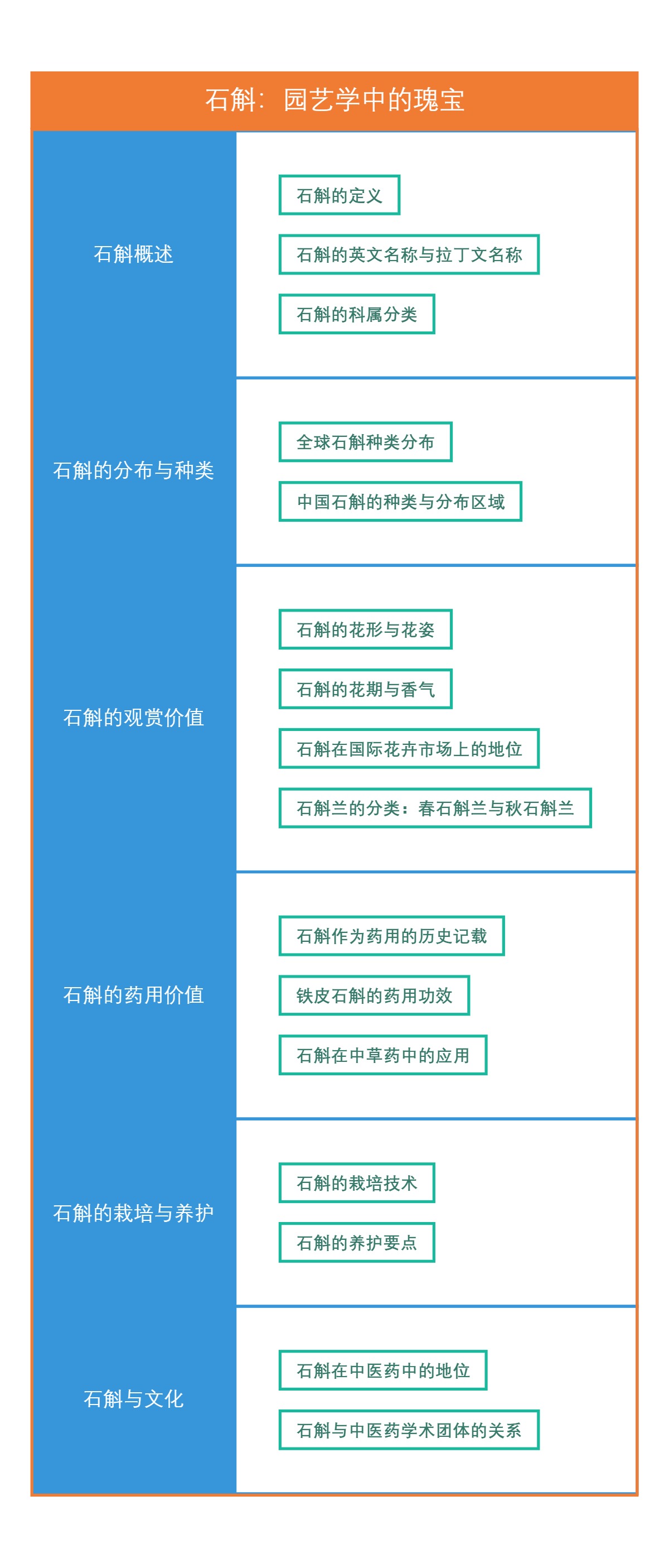 石斛：园艺学中的瑰宝