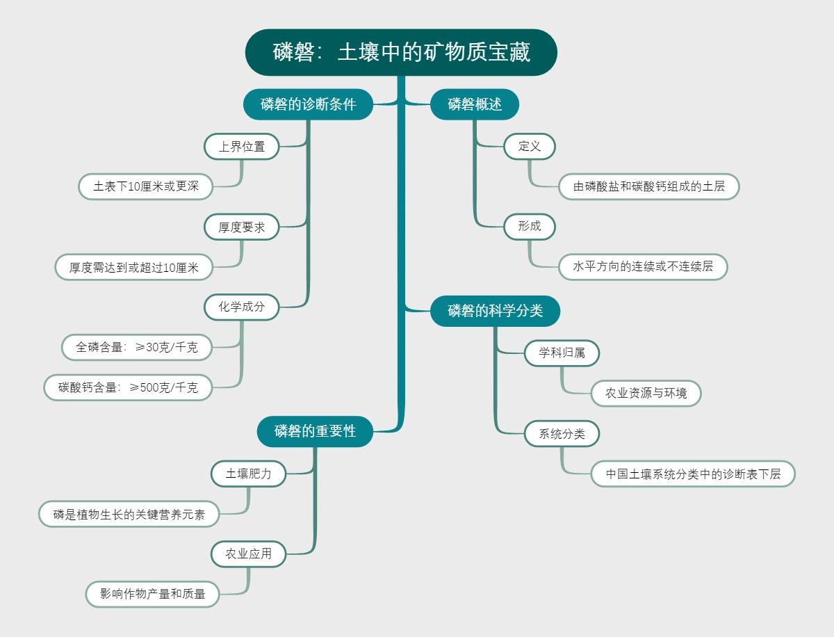 磷磐：土壤中的矿物质宝藏