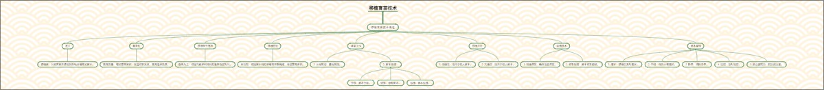 移植育苗技术概述