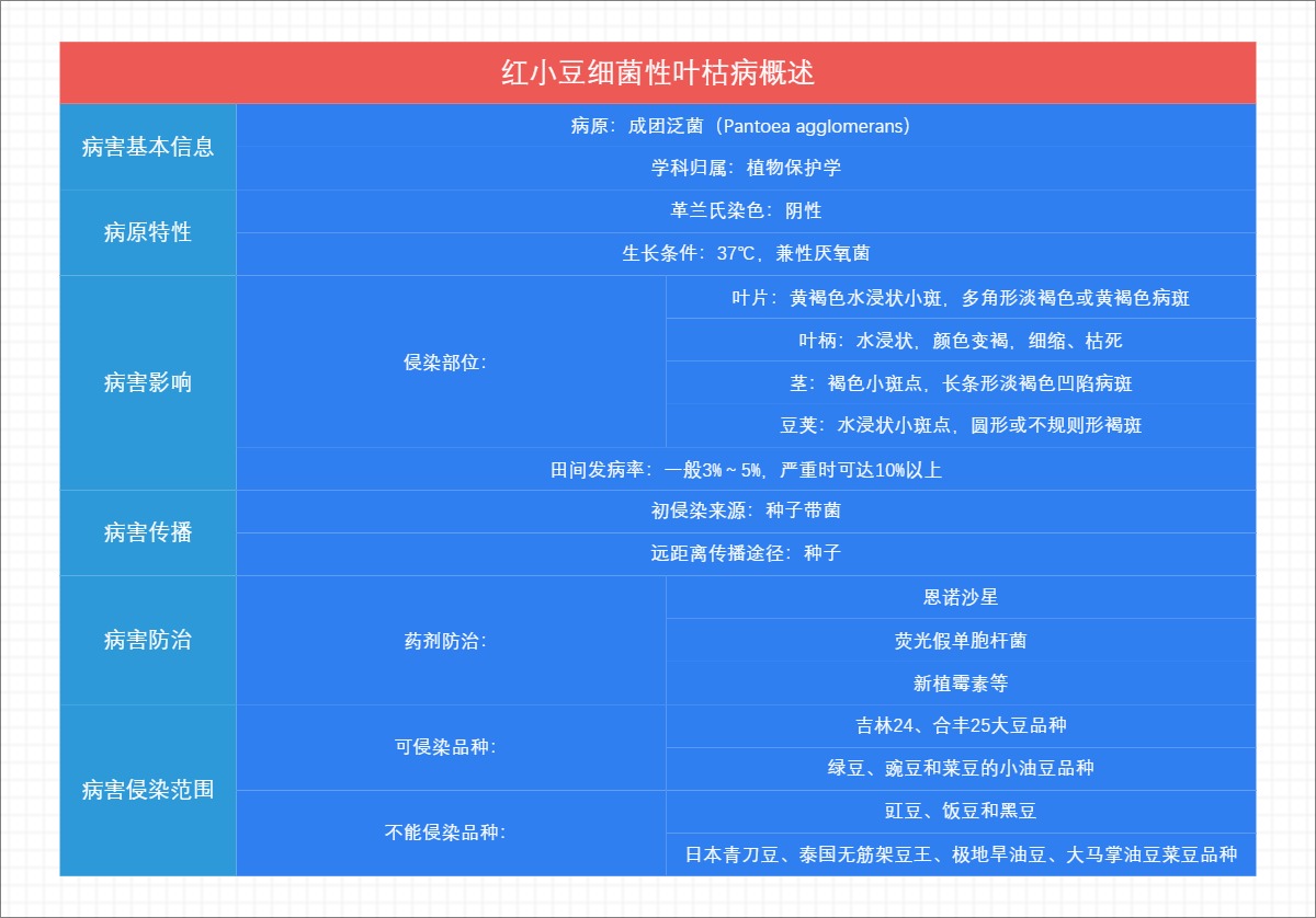 红小豆细菌性叶枯病概述