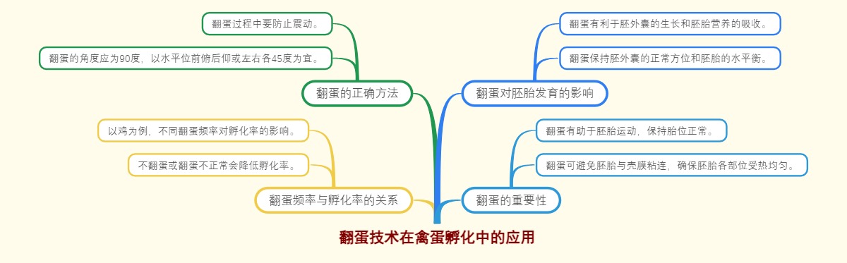 翻蛋技术在禽蛋孵化中的应用