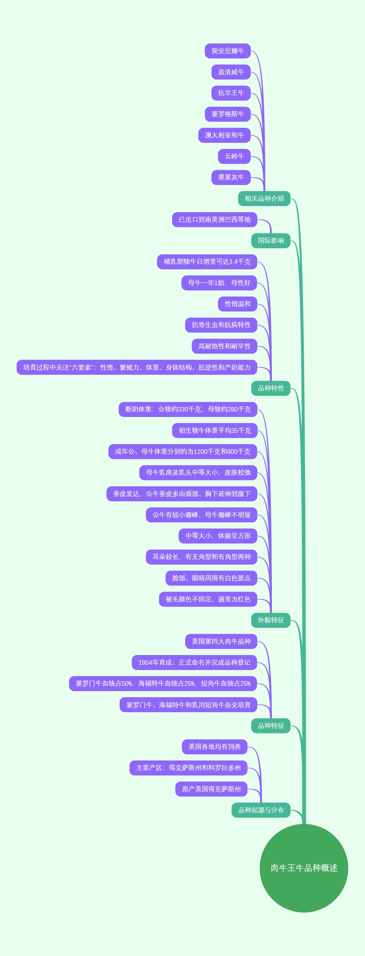 肉牛王牛品种概述