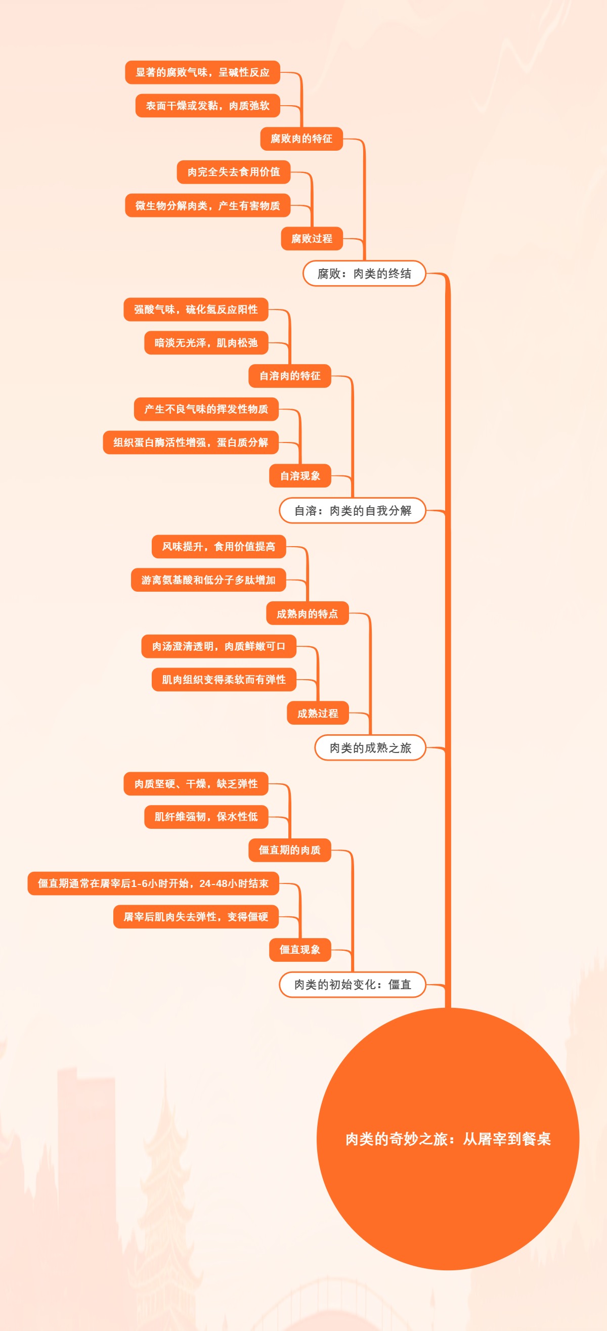 肉类的奇妙之旅：从屠宰到餐桌