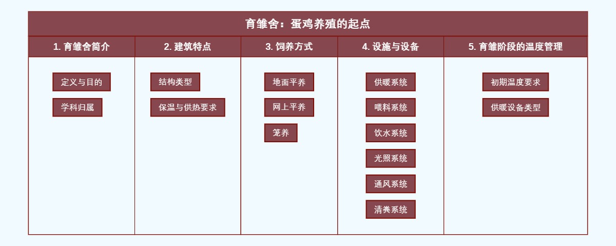 育雏舍：蛋鸡养殖的起点