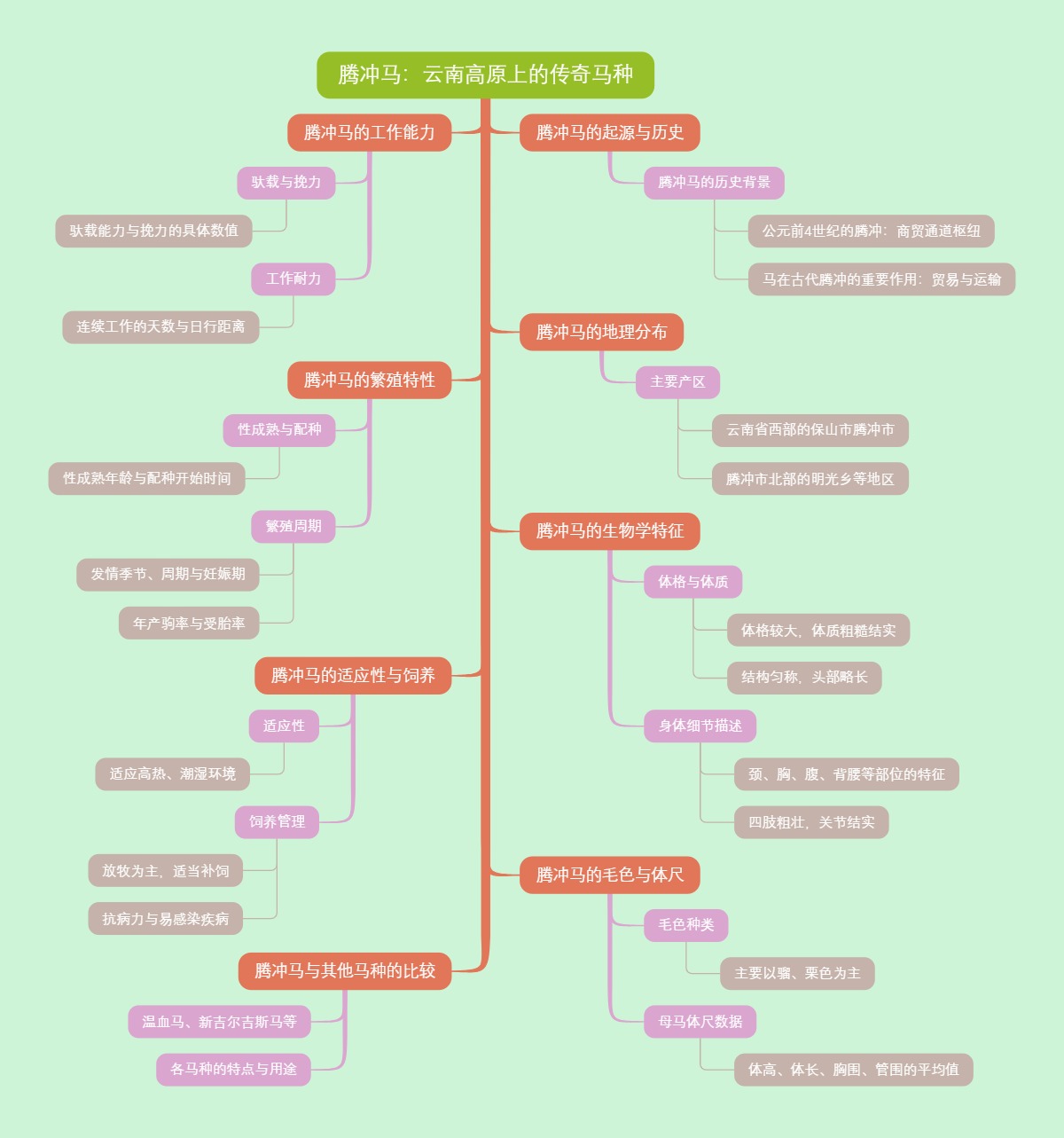 腾冲马：云南高原上的传奇马种