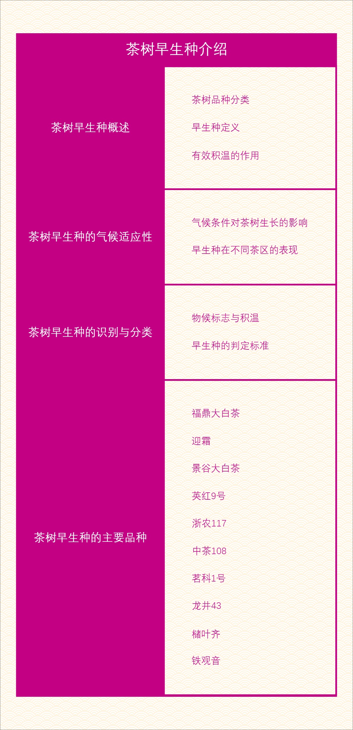 茶树早生种介绍