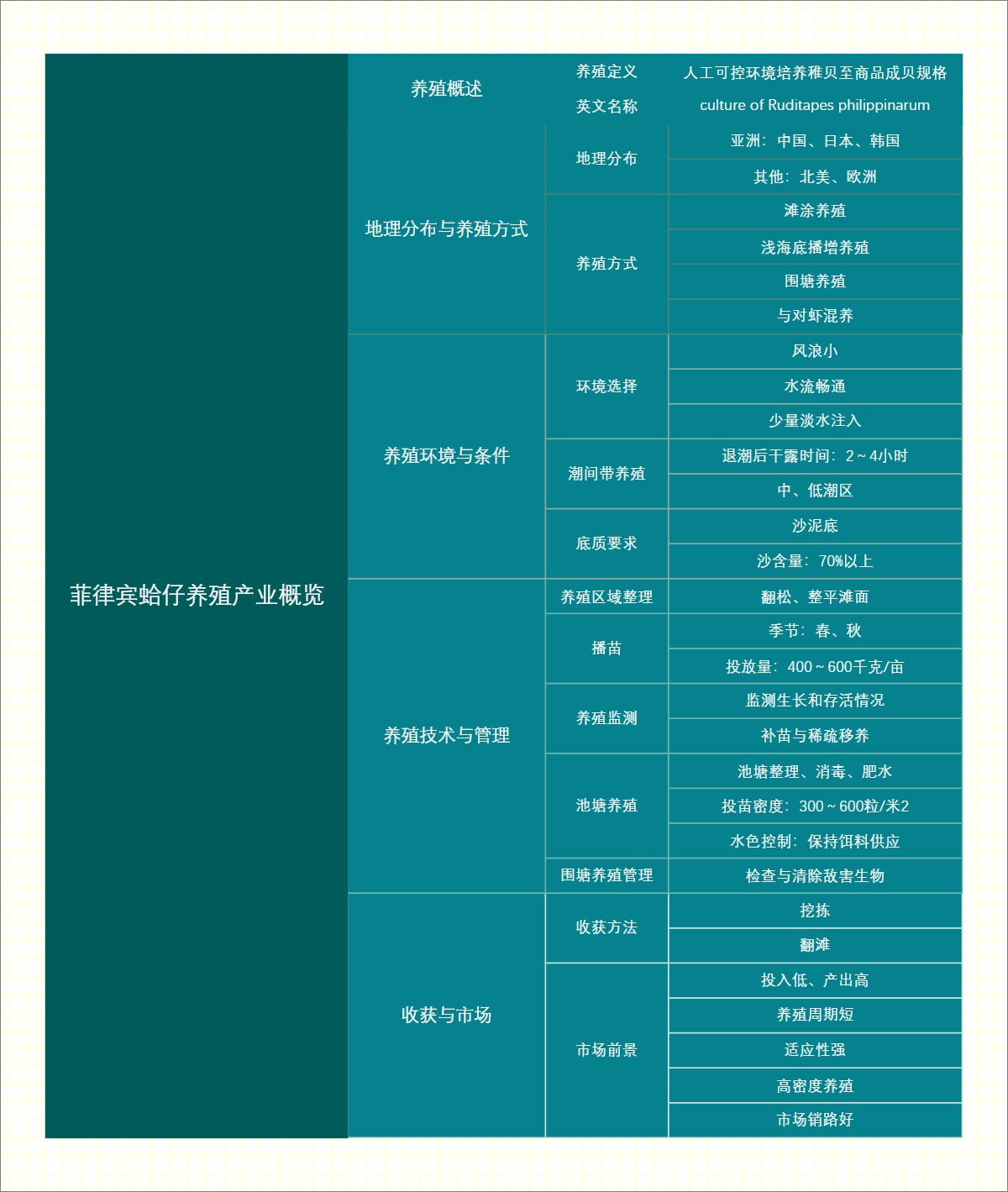 菲律宾蛤仔养殖产业概览