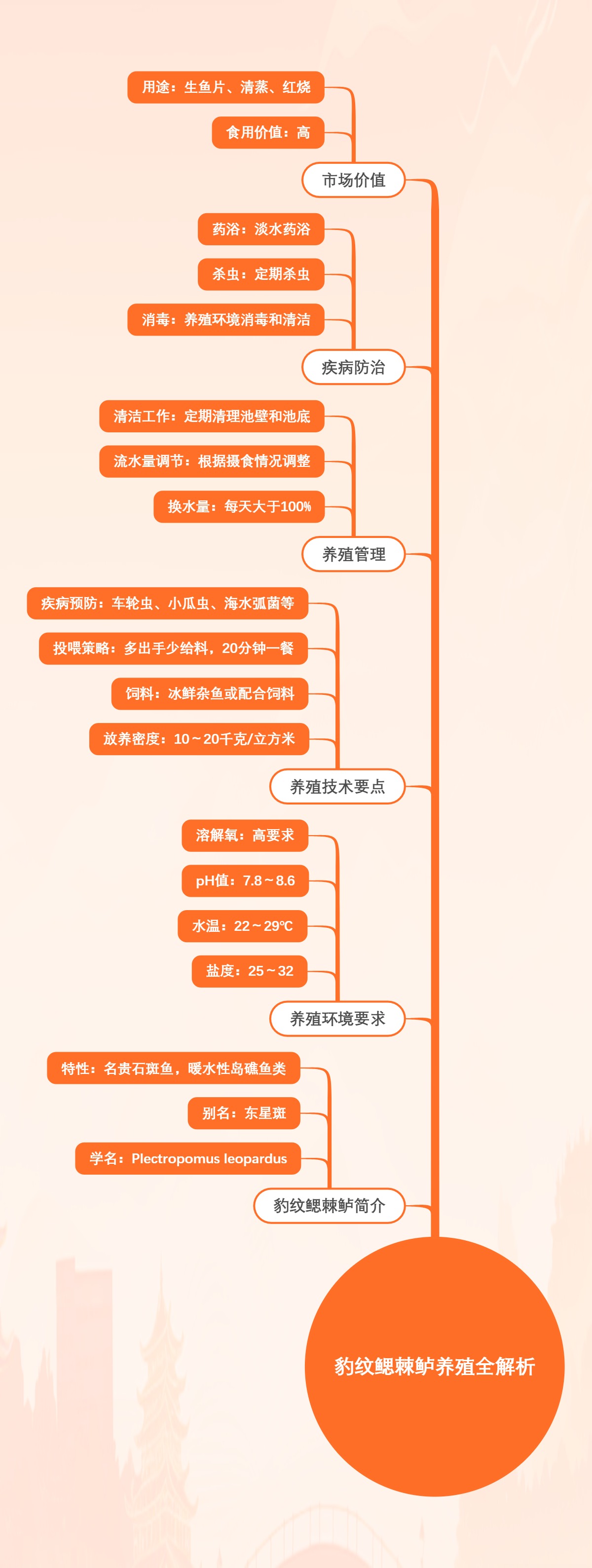 豹纹鳃棘鲈养殖全解析