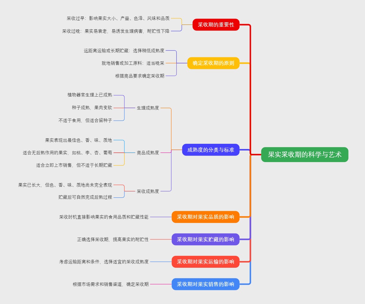 果实采收期的科学与艺术