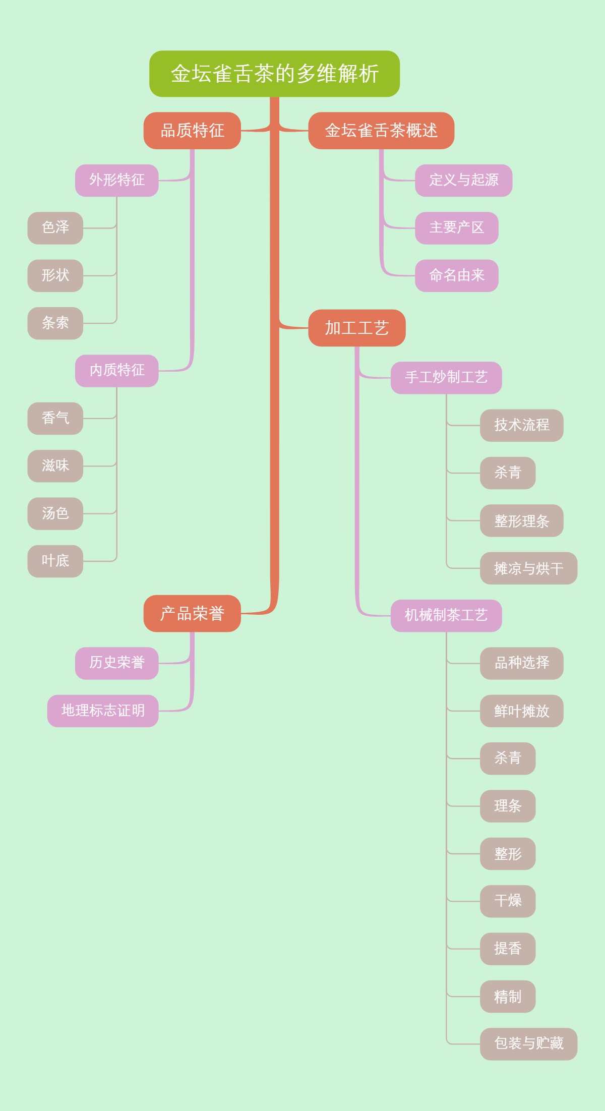 金坛雀舌茶的多维解析
