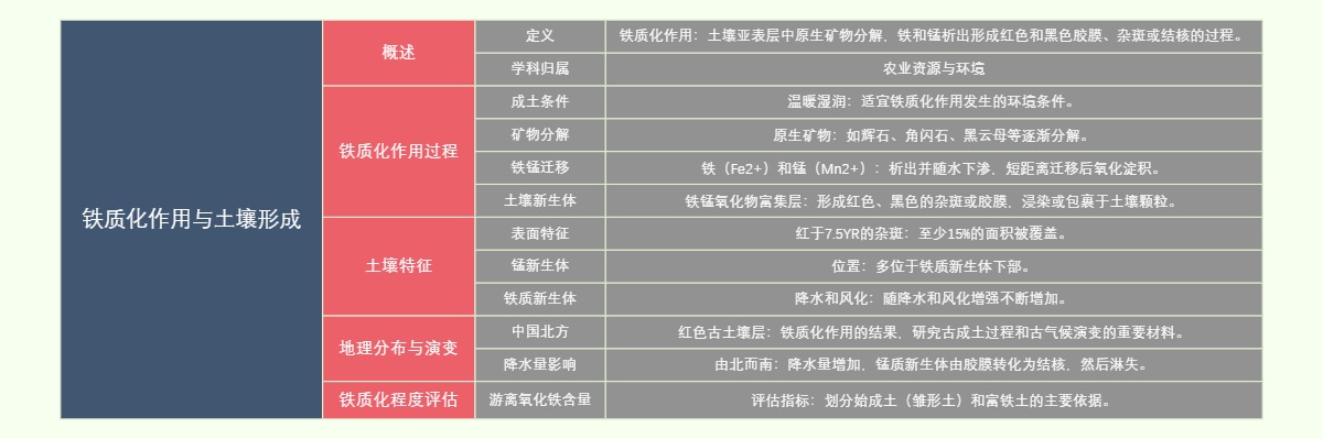 铁质化作用与土壤形成