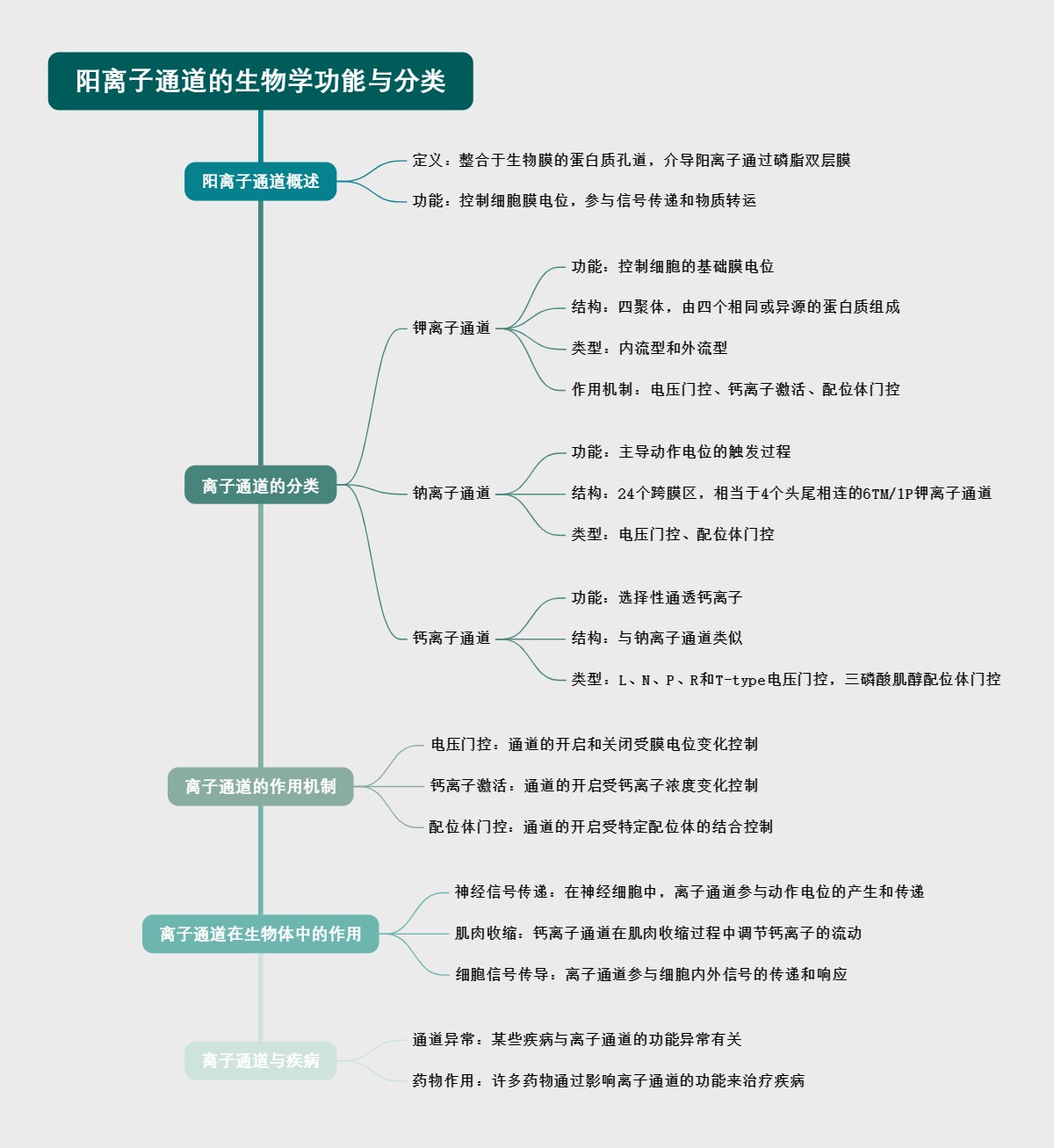 阳离子通道的生物学功能与分类