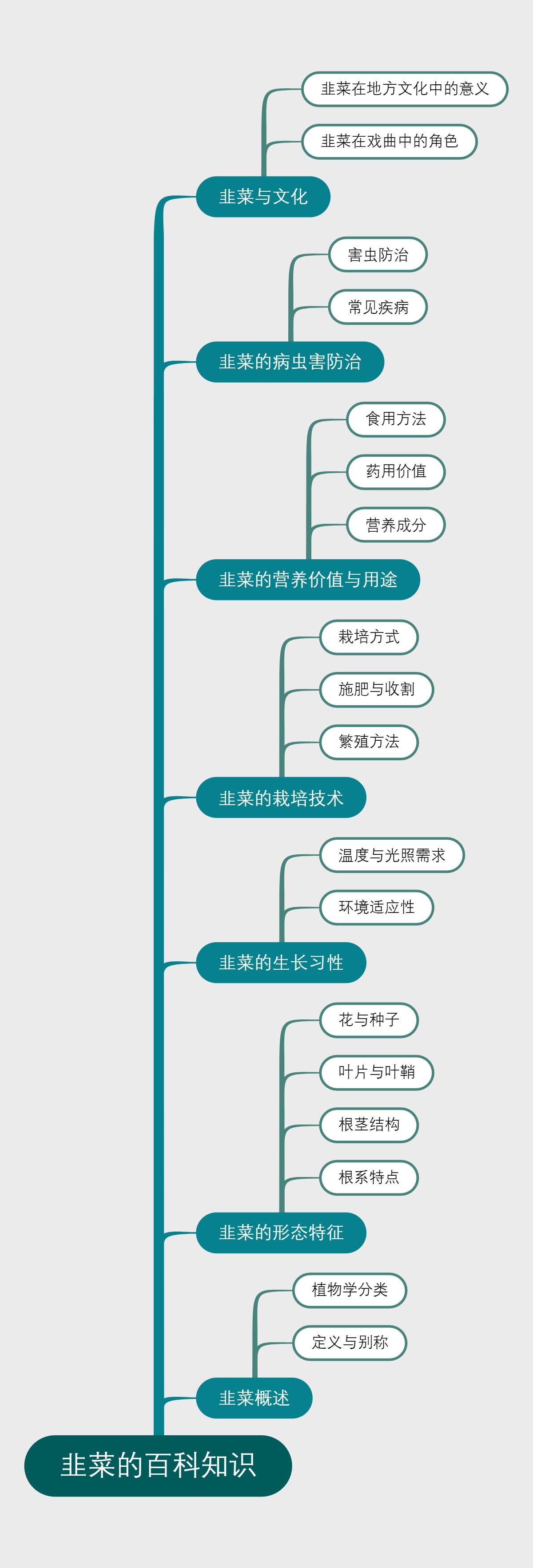 韭菜的百科知识