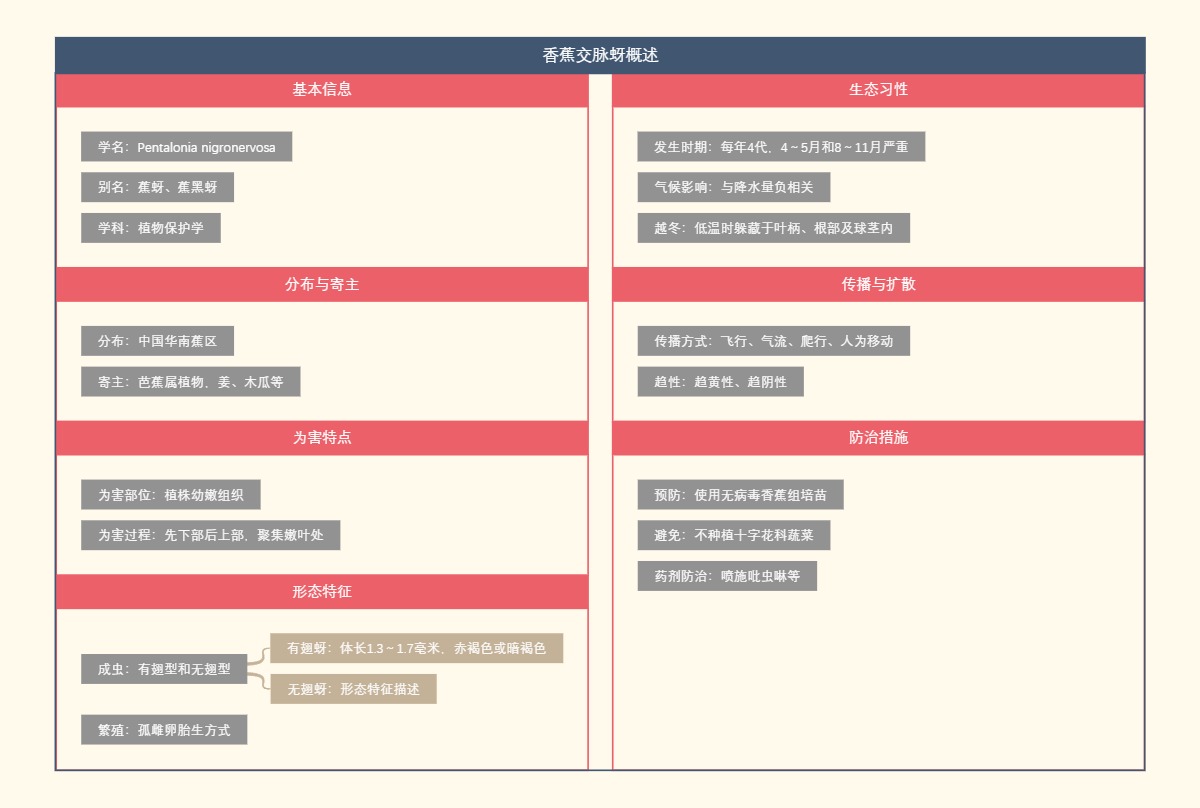 香蕉交脉蚜概述