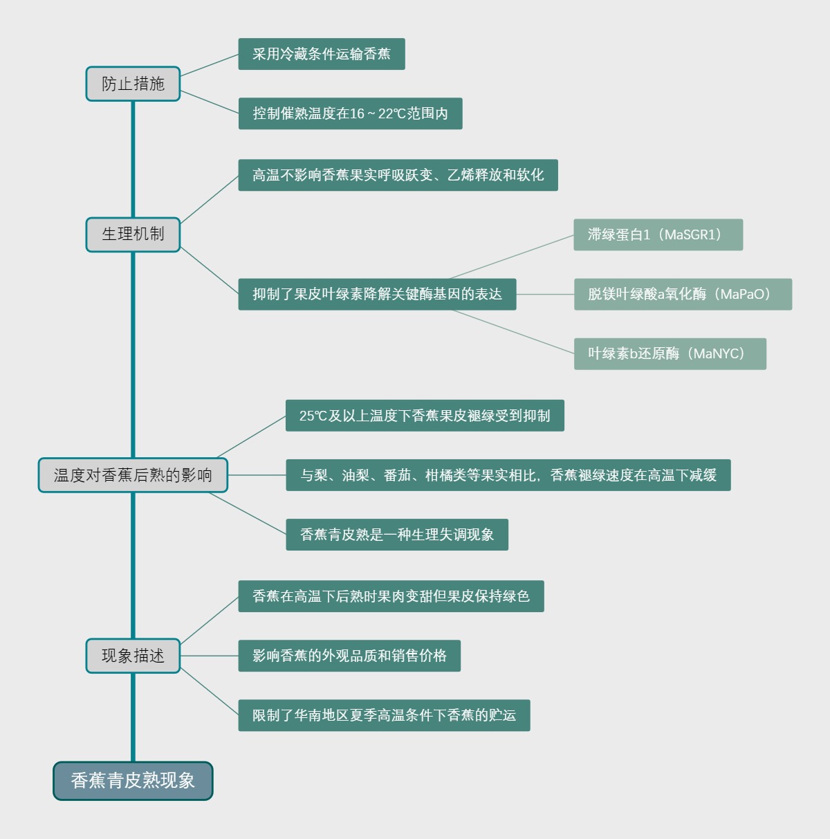 香蕉青皮熟现象