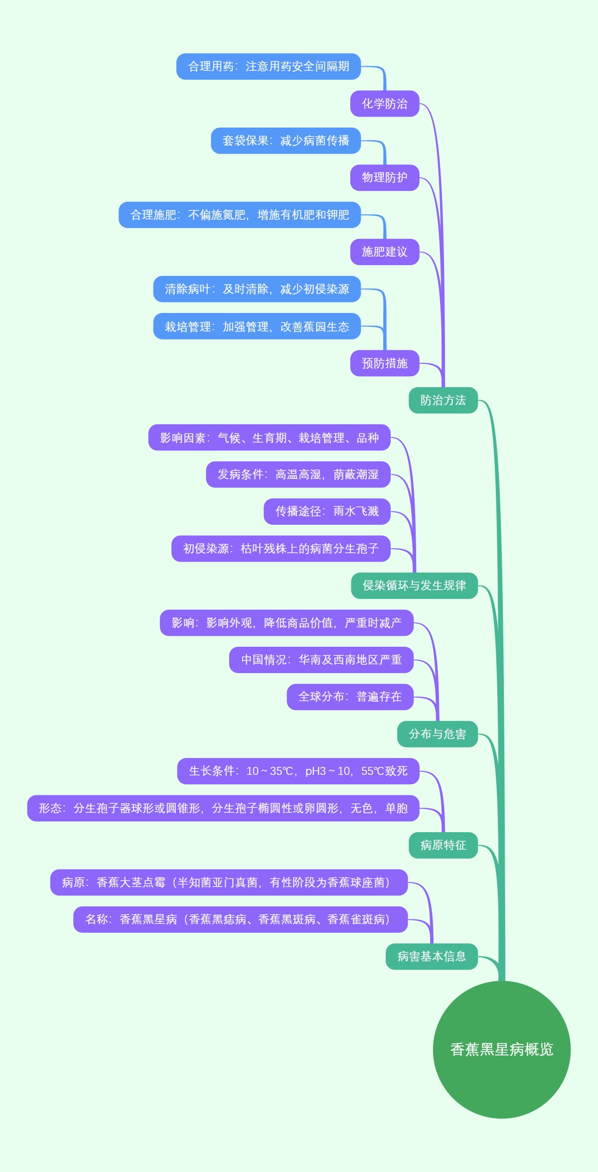 香蕉黑星病：一种影响香蕉健康的真菌病害