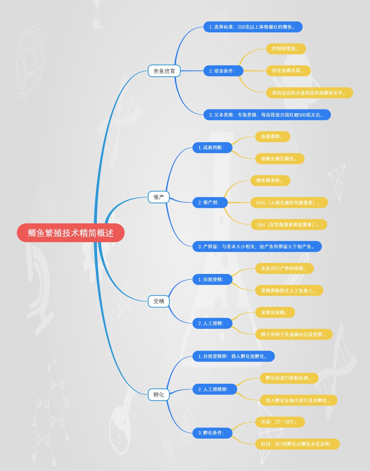 鲫鱼繁殖技术概述