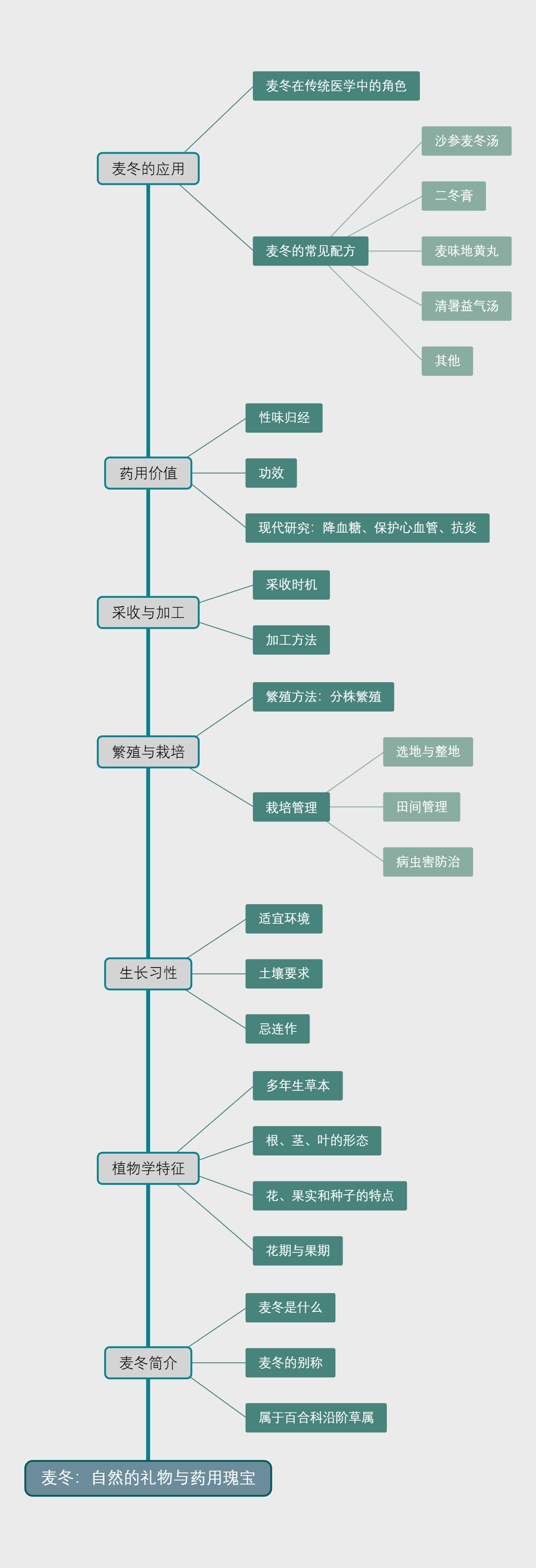 麦冬：自然的礼物与药用瑰宝