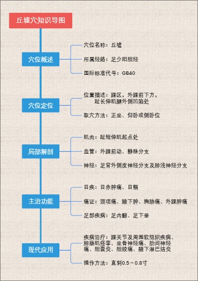 丘墟穴知识导图
