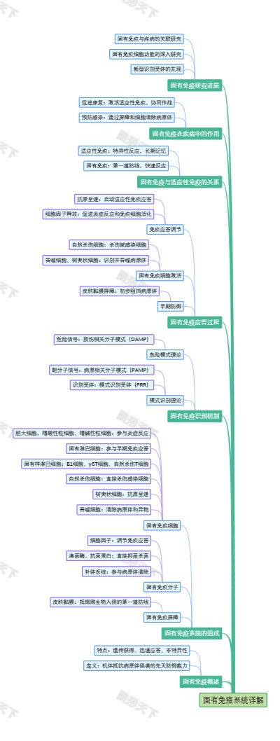 固有免疫系统详解