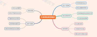 外周神经损伤概述